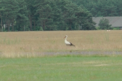 S1480139